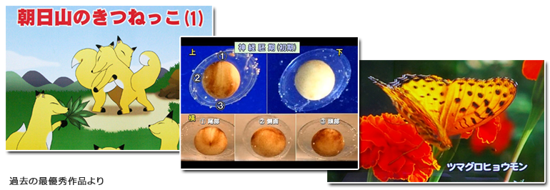 過去の最優秀賞作品